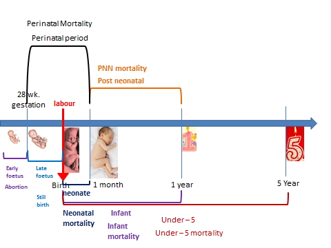 Maternity Cycle And Prematurity | PSM Made Easy